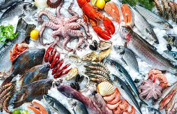 071f785834f5a75de78d68127edb6e3f Kiểm tra kỹ lưỡng nguyên liệu giúp đảm bảo an toàn thực phẩm cho bữa tiệc
