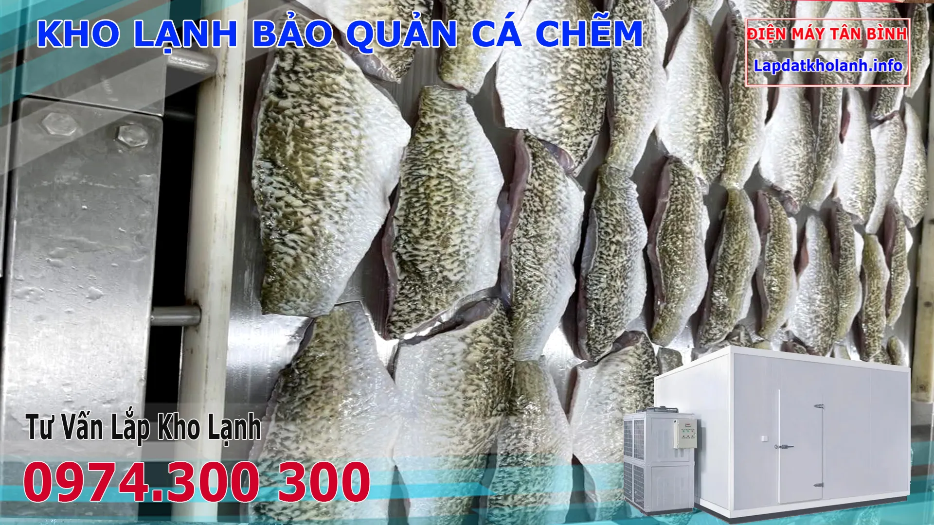 2-8 Lựa chọn cá chẽm tươi sống là điều kiện tiên quyết cho món ăn ngon