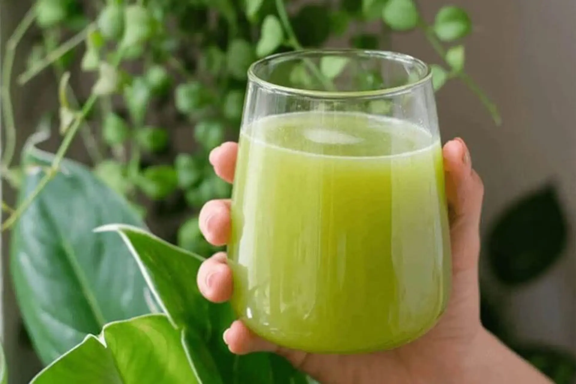 Sử dụng máy ép chậm giúp bảo toàn dưỡng chất và màu sắc cho nước ép