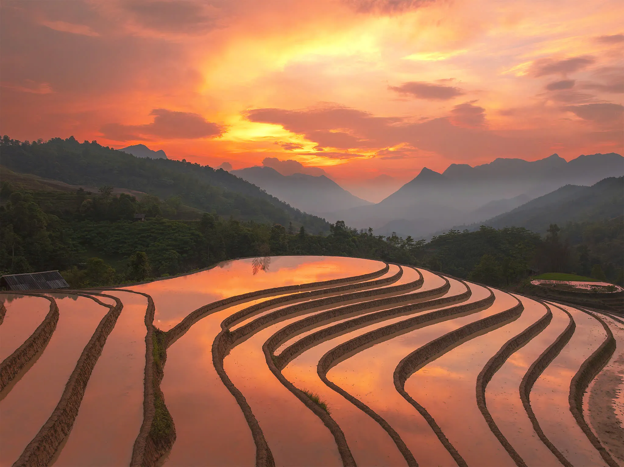 Vẻ đẹp hùng vĩ của vùng cao Tây Bắc  nguồn cội của những món đặc sản trứ danh