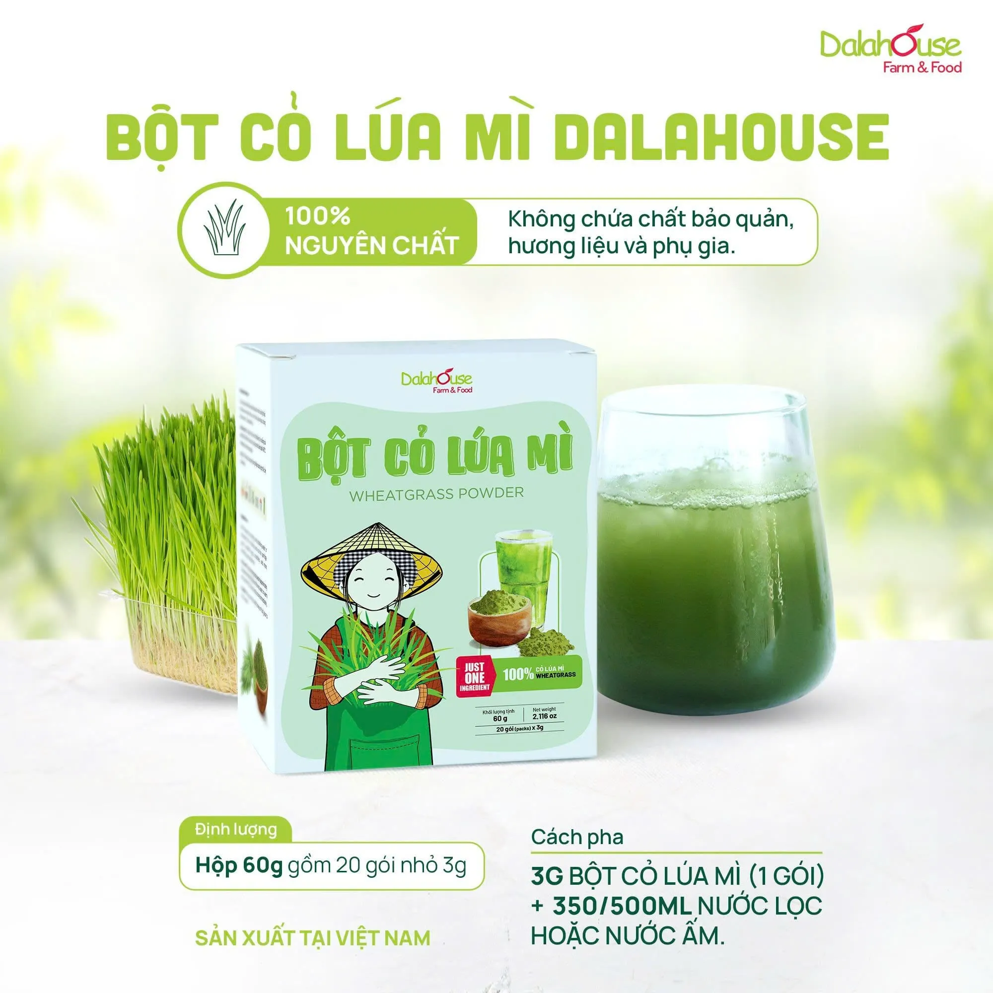 bot-co-lua-mi-say-lanh-dalahouse Bột cỏ lúa mạch là giải pháp thay thế tiện lợi nhưng vẫn đảm bảo giá trị dinh dưỡng