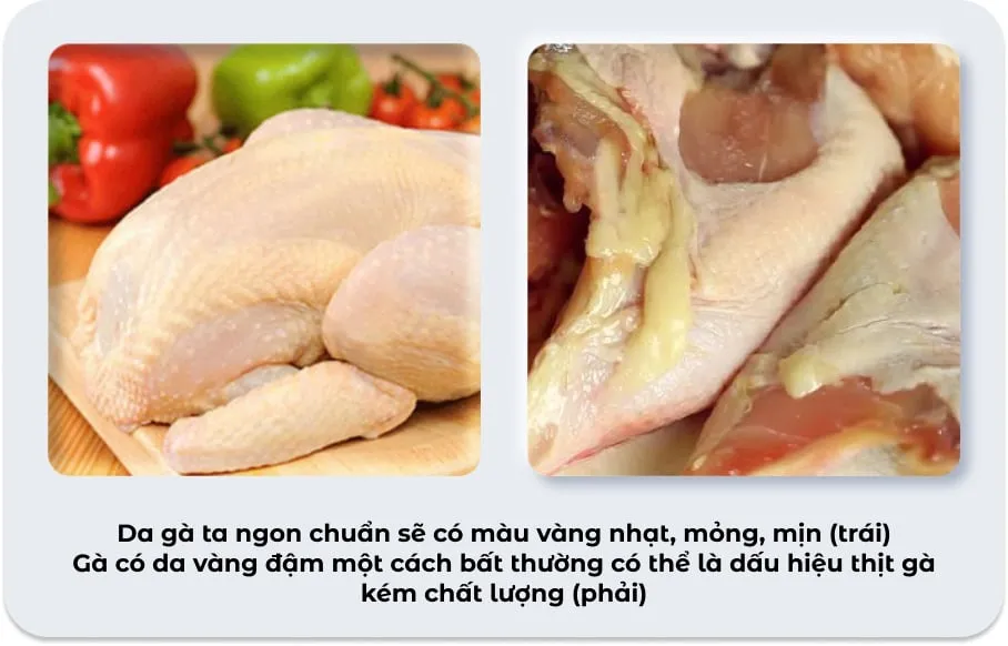 cach-chon-ga-ta-ngon_bf19444af8dc44358d20d9a4e0d190ec Lựa chọn gà ta thả vườn với lớp da vàng tự nhiên giúp món hấp ngon hơn