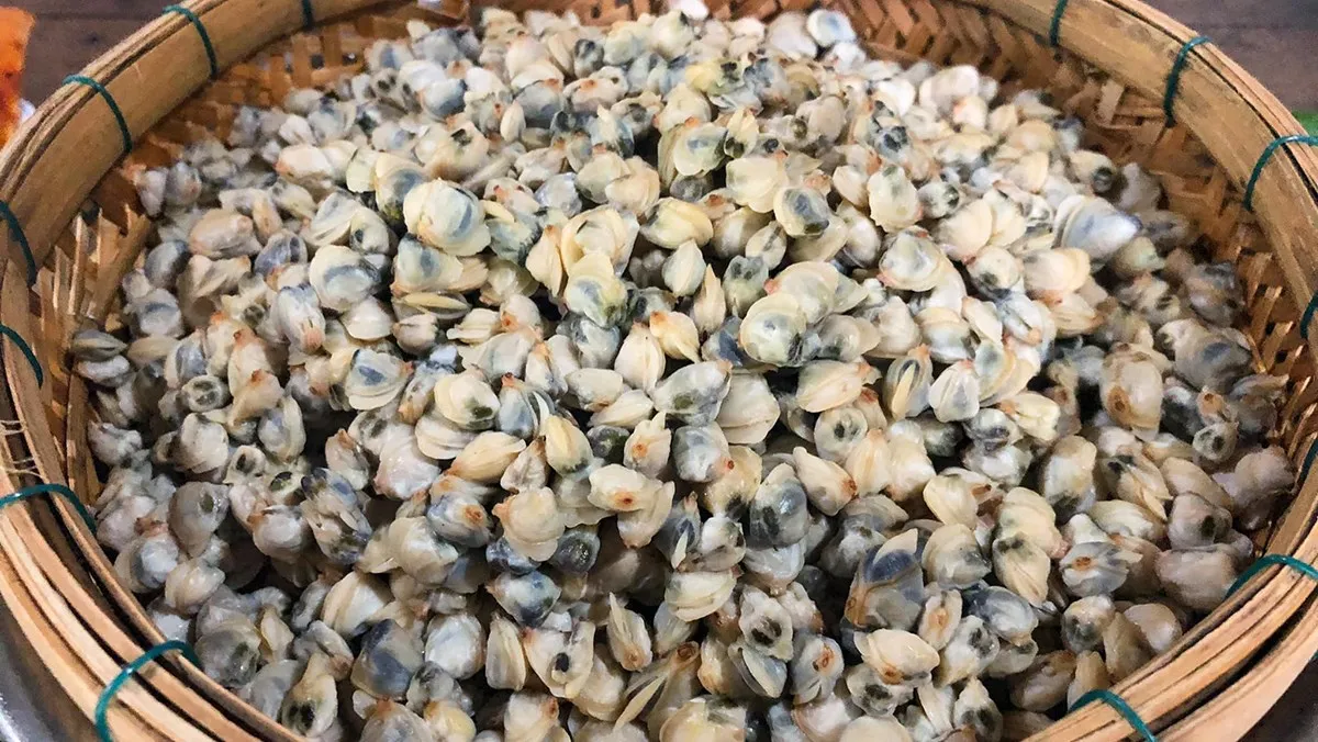 Sơ chế hến kỹ lưỡng giúp món ăn thanh sạch và thơm ngon hơn