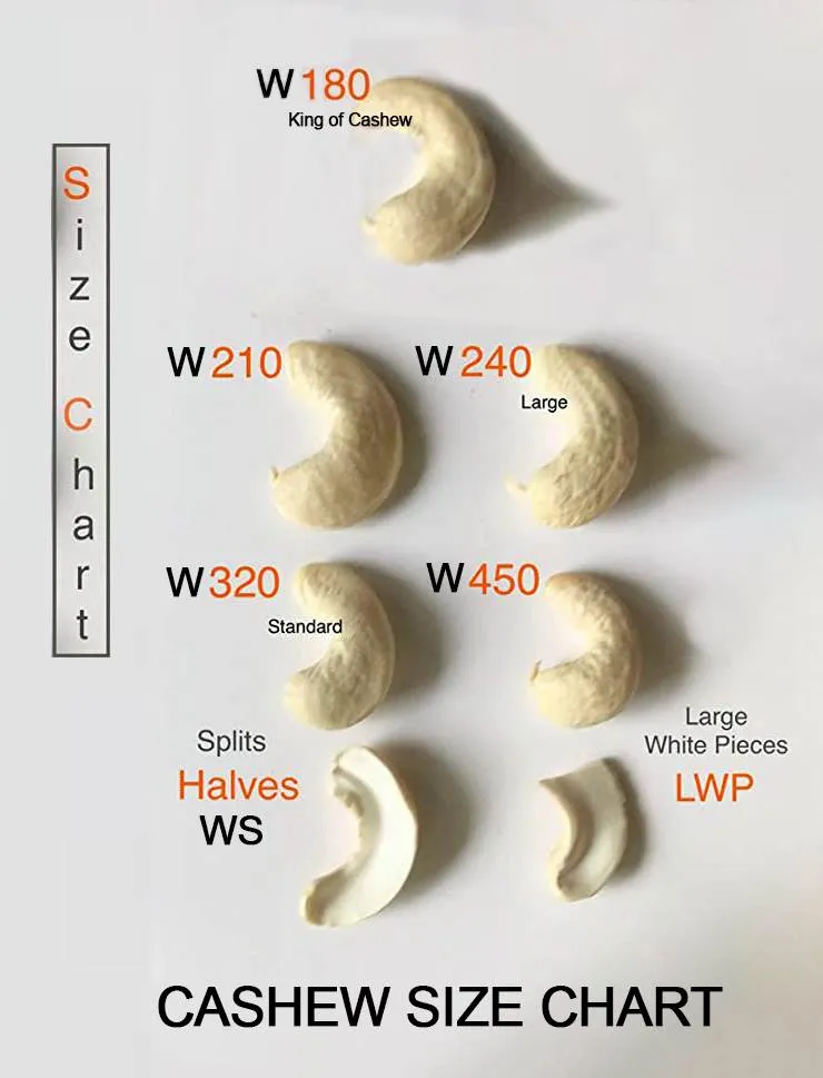 cashew-nut-kernels-size-chart-w180-w210-w240-w320-w450-ws-lwp-1 Sự khác biệt về kích thước giữa các loại hạt điều trên thị trường