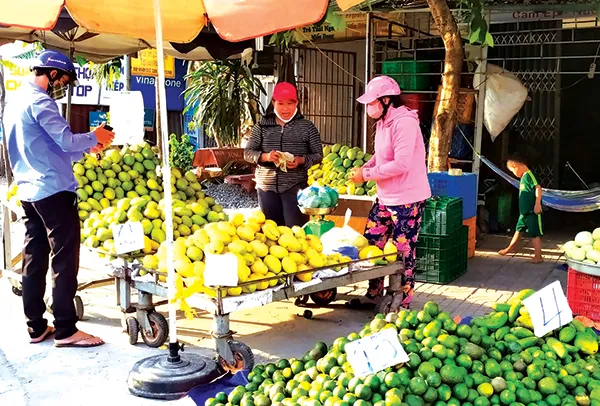 Lựa chọn trái cây tại vườn giúp đảm bảo độ tươi ngon và an toàn vệ sinh thực phẩm