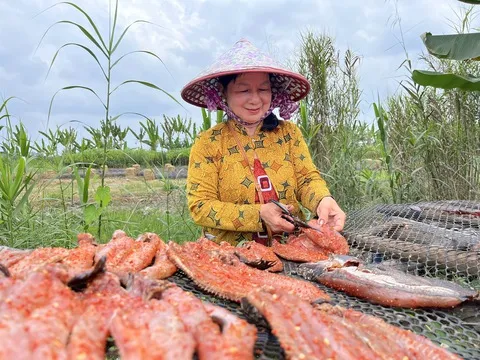 Quy trình phơi nắng tự nhiên giúp khô cá lóc giữ trọn hương vị và dưỡng chất