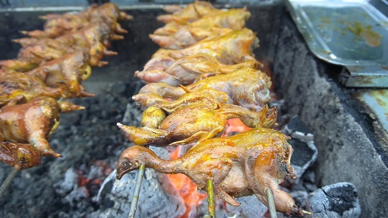 Kỹ thuật quay đúng cách giúp chim cút có màu sắc vô cùng bắt mắt