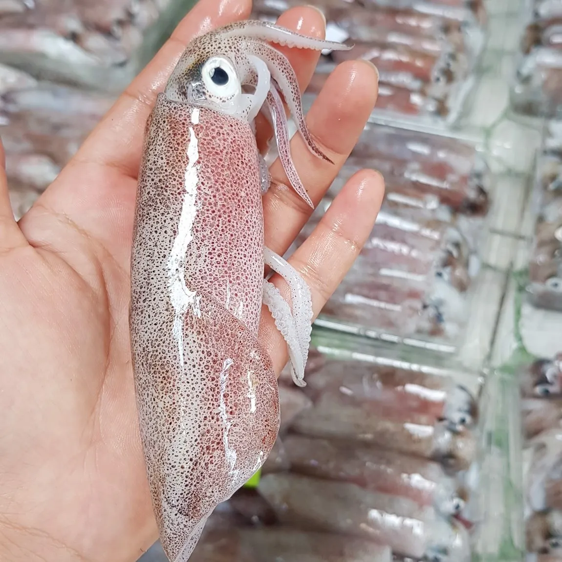 Lựa chọn hải sản tươi sống là yếu tố tiên quyết để món ăn giữ được hương vị biển cả