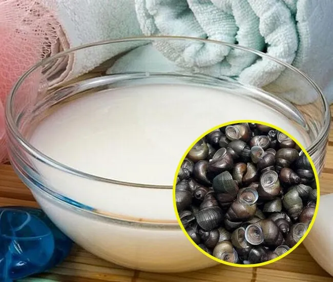 Sơ chế ốc hương bằng nước vo gạo và ớt để loại bỏ hoàn toàn cát bẩn